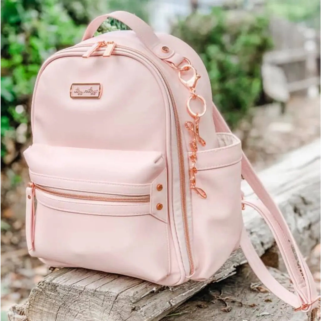 itzy ritzy.mini.vs bodomint backpack Ritzy go needs Itzy Ritzy Mini Diaper Bag